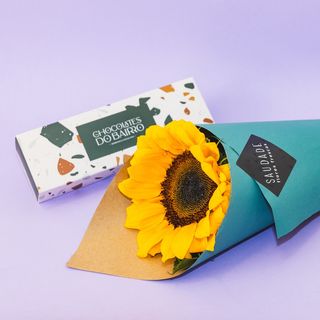 PACK GIRASSOL + CHOCOLATE