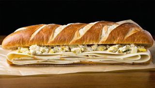 Il circo sottomarino