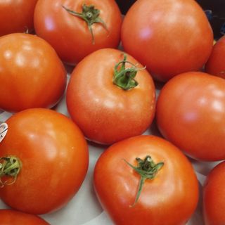 Tomaquet ektasis produccio local 1kg