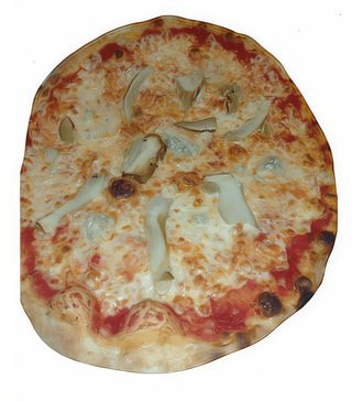 Funghi porcini integrale