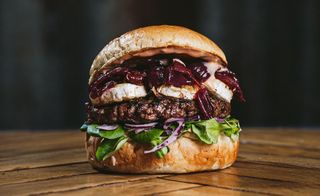 Roślinny Dzika Krowa