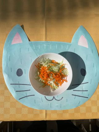 Kupus salata (Prilog)