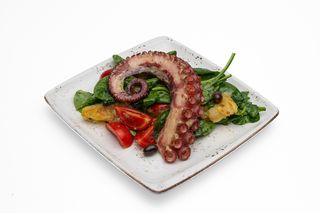 Октопод на тиган (150г)