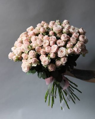 ჯუჯა ვარდები #1