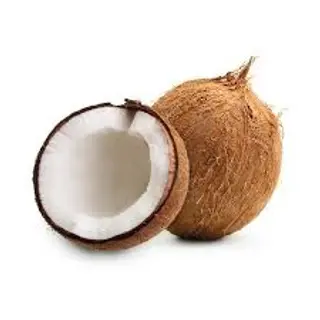 Coco Ud.