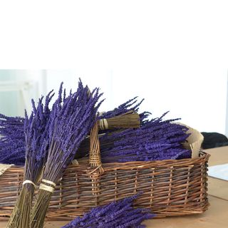 Ramo lavanda preservada