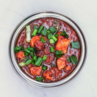 PANEER 65