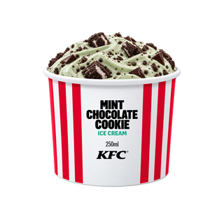 Ice Cream Tub Mint Choc