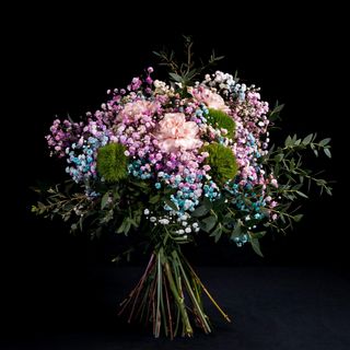 Ramo Paniculata Rainbow