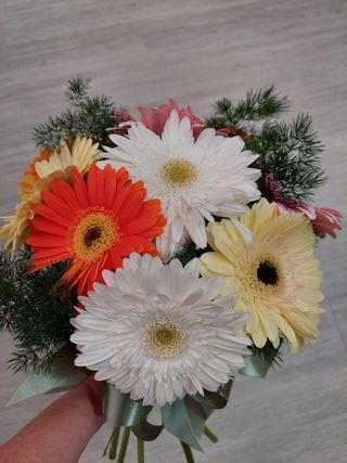 Ramo Multi-Gérberas