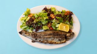 Пъстърва на жар със свежа салата (350г)