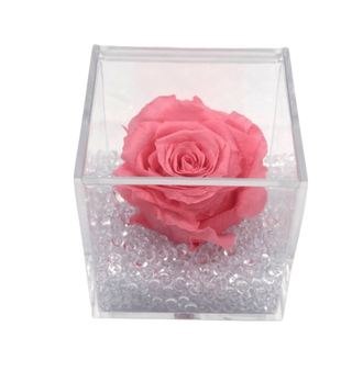 Cubo 8x8 con rosa rosa 