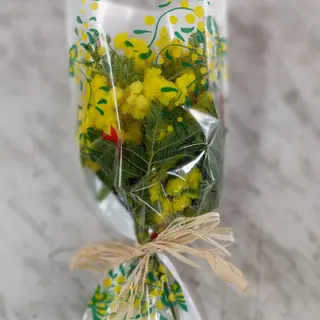  Mini mimosa