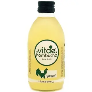 Kombucha Jengibre Vitae 250Ml