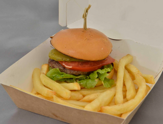 Mini dječji burger sa pomfritom 220gr