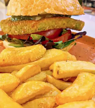 Vegetal Bruger