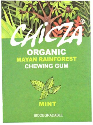GUMA DO ŻUCIA MIĘTA BIO 30 g - CHICZA