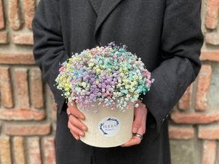 ფერადი გიფსოფილა ყუთში (S)