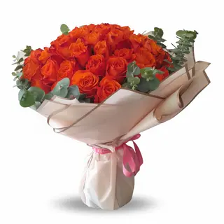 Aurore Florale