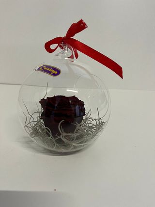 Trandafir criogenat in glob