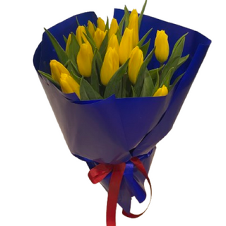 Bukiet tulipanów <<M<<