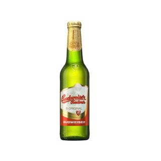 Budweiser pivo 0.33l