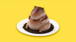 Капибара какао