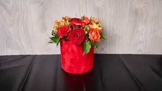 Misteriozni box
