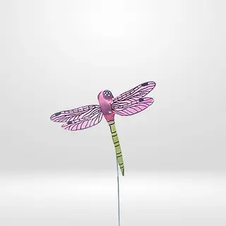 Libelula
