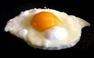 1 Œuf Au Plat