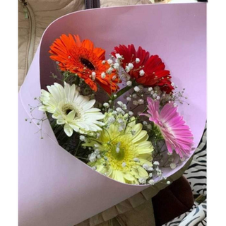 მინი თაიგული ფერადი