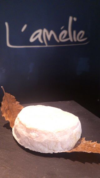 Mothais Sur Feuille Fermier Unidad