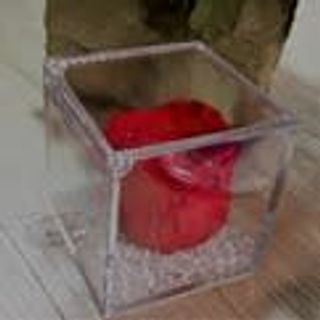 Rosa rossa stabilizzata dentro plexiglass 6x6 cm