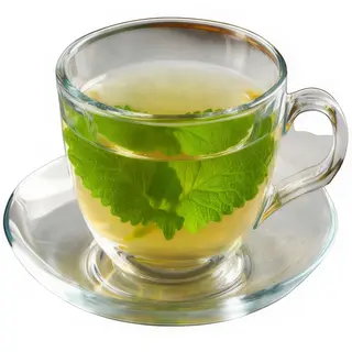 Té Verde Hierbabuena