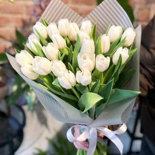 ტიტების თაიგული 10 ცალი