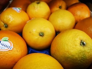Arance da Tavola