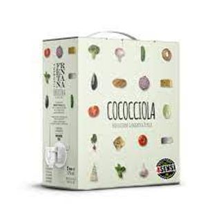 VINO COCOCCIOLA BOX 5LT CANTINA FRENTANA
