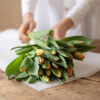 Ramo de tulipanes naranjas. 8u