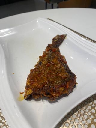 Croacker Fish