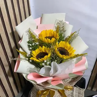 3 girasoli