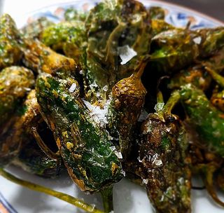 Pimientos del Padrón 