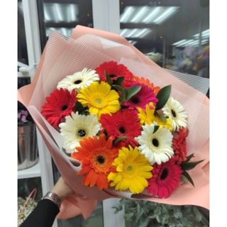 ფერადი გერბერები