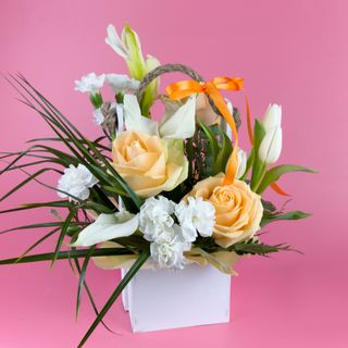 Корзина COXI. Розмір S