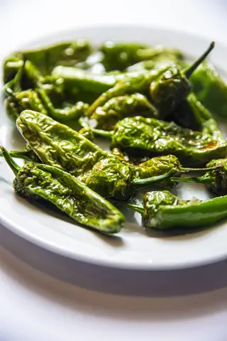 Pimientos De Padrón
