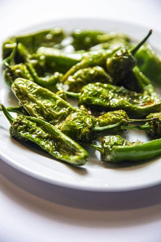 Pimientos De Padrón