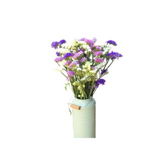 Siempreviva Multicolor 6-8 Tallos