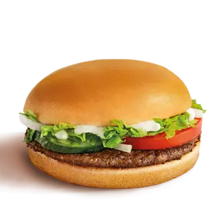 HAMBURGER FRESH 110GR