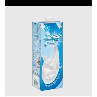 Hollandia Yoghurt ( small)