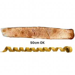 Rollo standard mega
