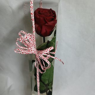 ROSA PRESERVADA COLOR ROJO